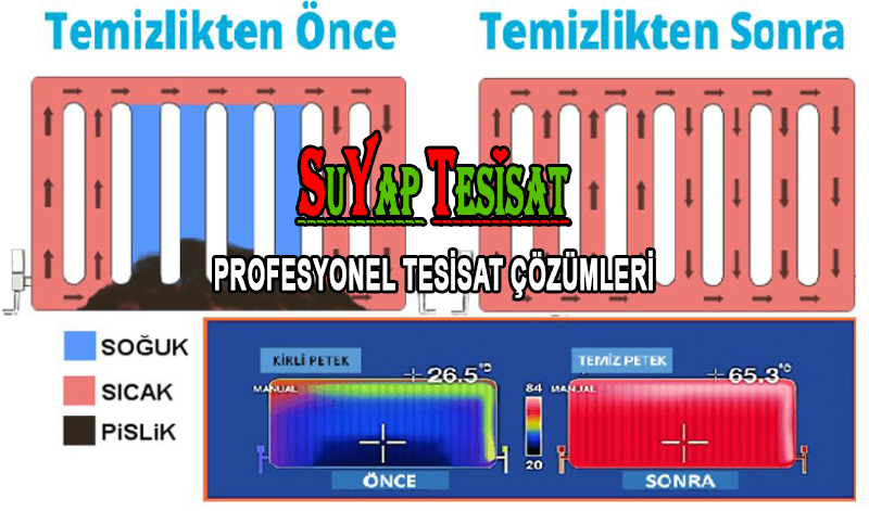 Petek Nasıl Temizlenir