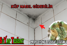 Banyo Tavanında Küflenme Nasıl Giderilir
