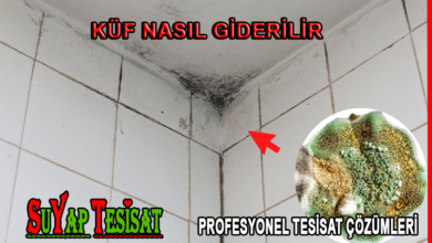 Banyo Tavanında Küflenme Nasıl Giderilir